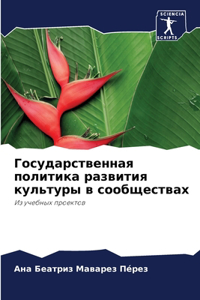 Государственная политика развития куль