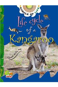 Circle of Life: Life Cycle of a Kangaroo