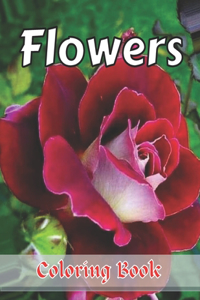 Flowers Coloring Book