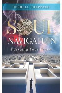 Soul Navigation