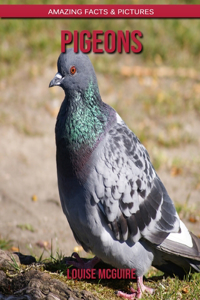Pigeons
