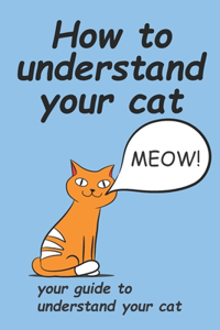 How to understand your cat