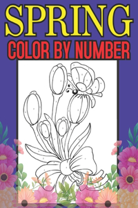 Spring Color By Number