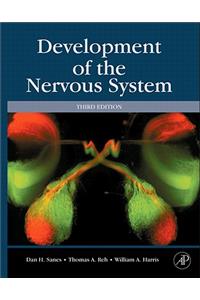 Development of the Nervous System