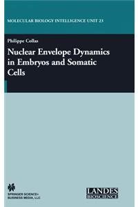 Nuclear Envelope Dynamics in Embryos and Somatic Cells