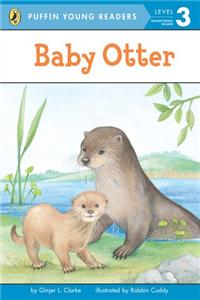 EXP Baby Otter PYR LV 3