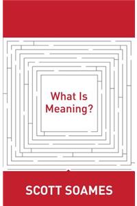 What Is Meaning?