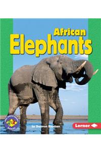African Elephants