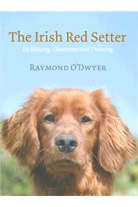 Irish Red Setter
