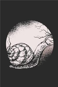 Snail Moon