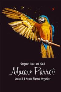 Gorgeous Blue and Gold Macaw Parrot Undated 6-Month Planner Organizer: Weekly Monthly Agenda Calendar Organizer and Engagement Book