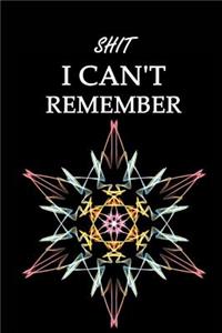 Shit I Can't Remember
