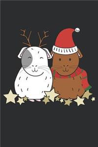 Guinea Pigs