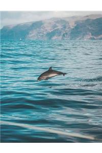 Jumping Dolphin Blank Lined Notebook
