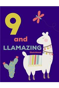 9 and Llamazing Sketchbook