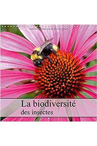 La Biodiversite des Insectes 2017
