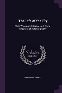 The Life of the Fly