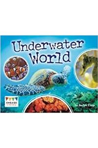Underwater World