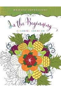 Adult Colouring Book: In the Beginning Colouring Creation