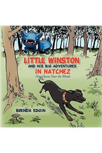 Little Winston and His Big Adventures in Natchez