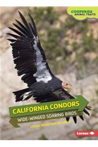 California Condors: Wide-Winged Soaring Birds