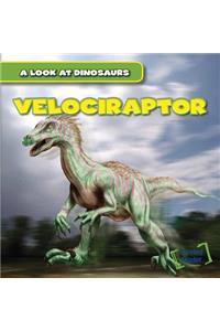 Velociraptor