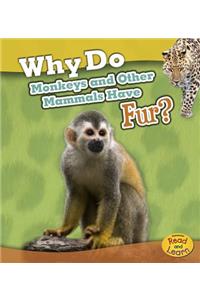 Why Do Monkeys and Other Mammals Have Fur?