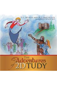 The Adventures of 2D Tudy