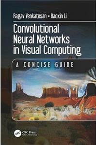 Convolutional Neural Networks in Visual Computing