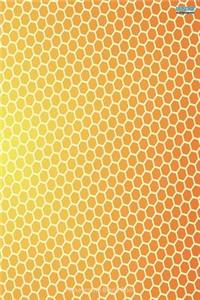 Honeycomb Blank Book