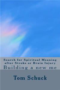 Search for Spiritual Meaning after Stroke & Brain Injury