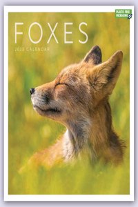 2023 Foxes Wall Calendar Plastic Free