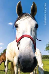 Password Notebook: Medium-Size Internet Address and Password Logbook / Journal / Diary - Curious Horse Cover