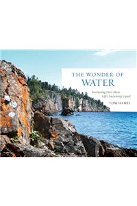 The Wonder of Water