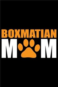 Boxmatian Mom