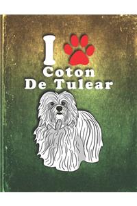 Coton De Tulear