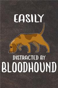 Easily Distracted By Bloodhound