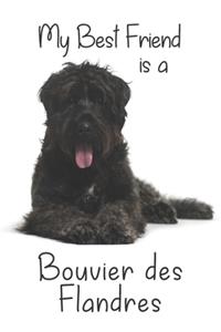 My best Friend is a Bouvier des Flandres (Squared Paper)