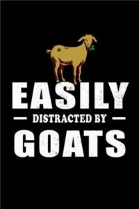 Easily Distracted By Goats