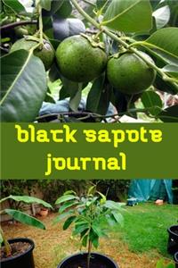 black sapote journal