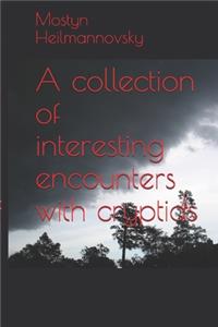 collection of interesting encounters with cryptids