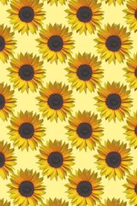 Sunflower Pattern