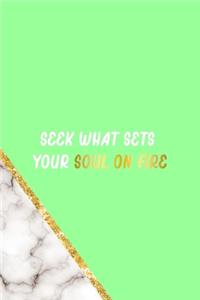 Seek What Sets Your Soul on Fire