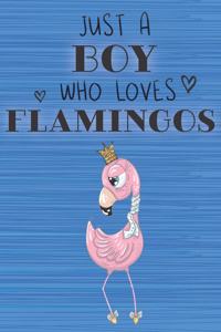 Just a Boy Who Loves Flamingos