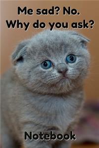 Me sad? No. Why Do You Ask? Notebook