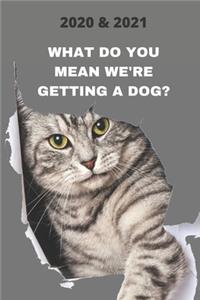 2020 & 2021 Two-Year Weekly Planner For Cat Owner Gift - Funny Quote About Dogs Appointment Book - Two Year Agenda Notebook