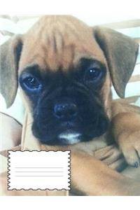 Boxer Puppy Story Paper Notebook 8.5