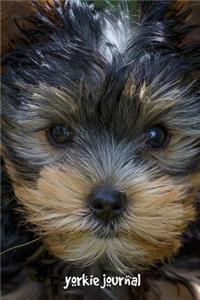 Yorkie Journal