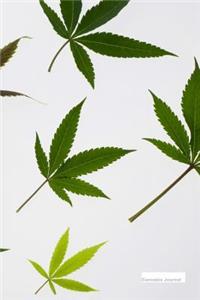 Cannabis Journal