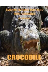 Crocodile: Amazing Pictures and Facts about Crocodile
